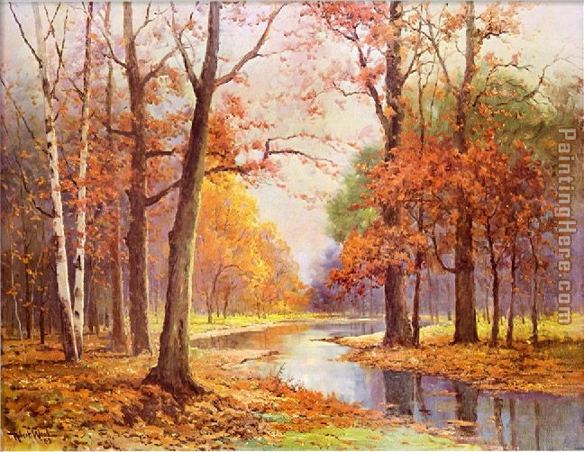 Autumn Glade
